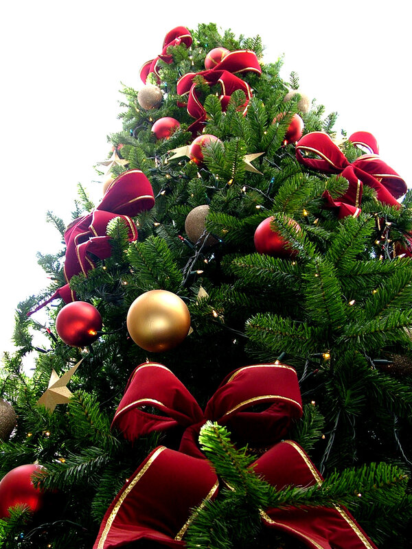 Decorated Christmas Tree — Green, Festive, Winter, Photograph, Red Bows, Ornaments