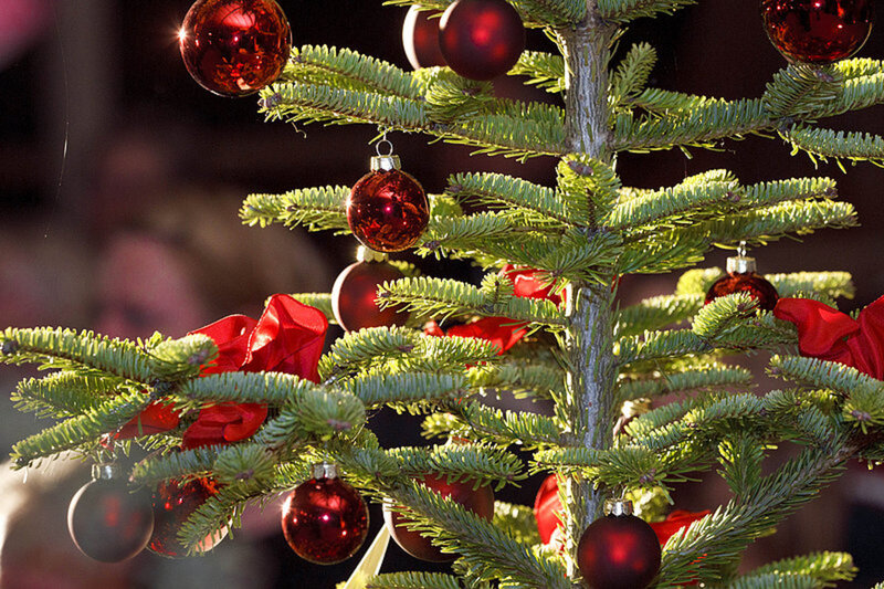 Decorated Christmas Tree — Green, Festive, Winter, Photograph, Red Ornaments