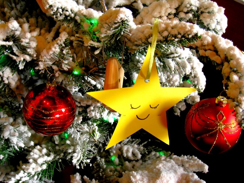 Decorated Christmas Tree — Green, Festive, Winter, Photograph, Star Ornament