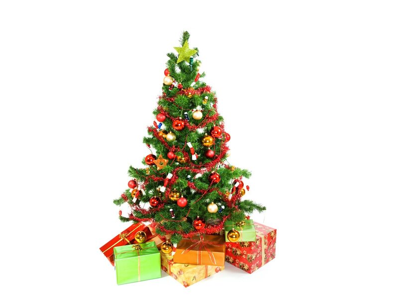 Decorated Christmas Tree — Green, Festive, Winter, Photograph