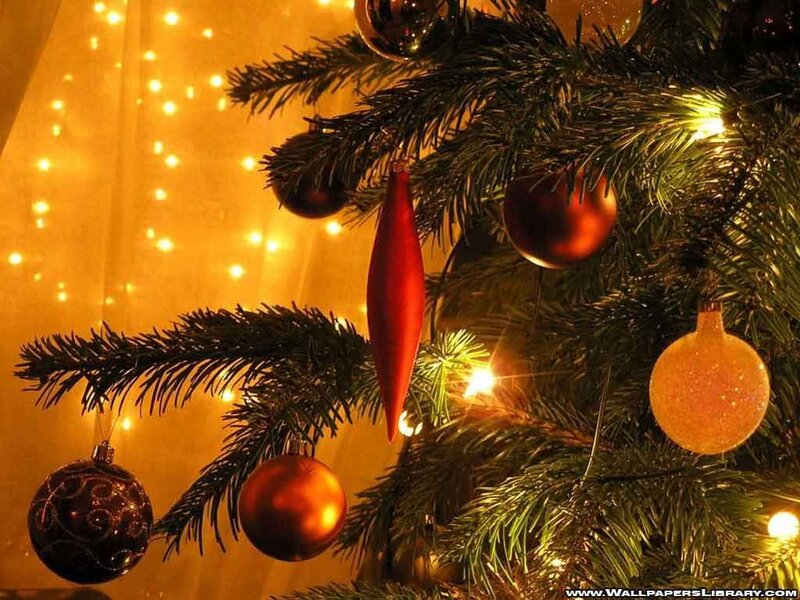 Decorated Christmas Tree — Green, Festive, Winter