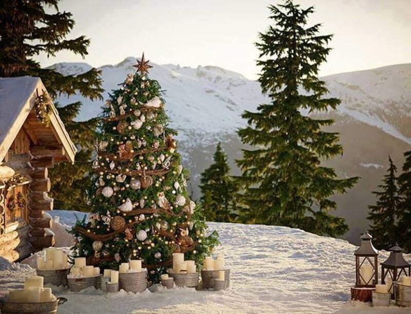 Decorated Christmas Tree — Green, Serene, Winter, Photograph
