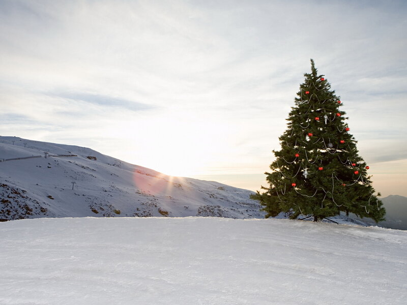 Decorated Christmas Tree — Green, Serene, Winter