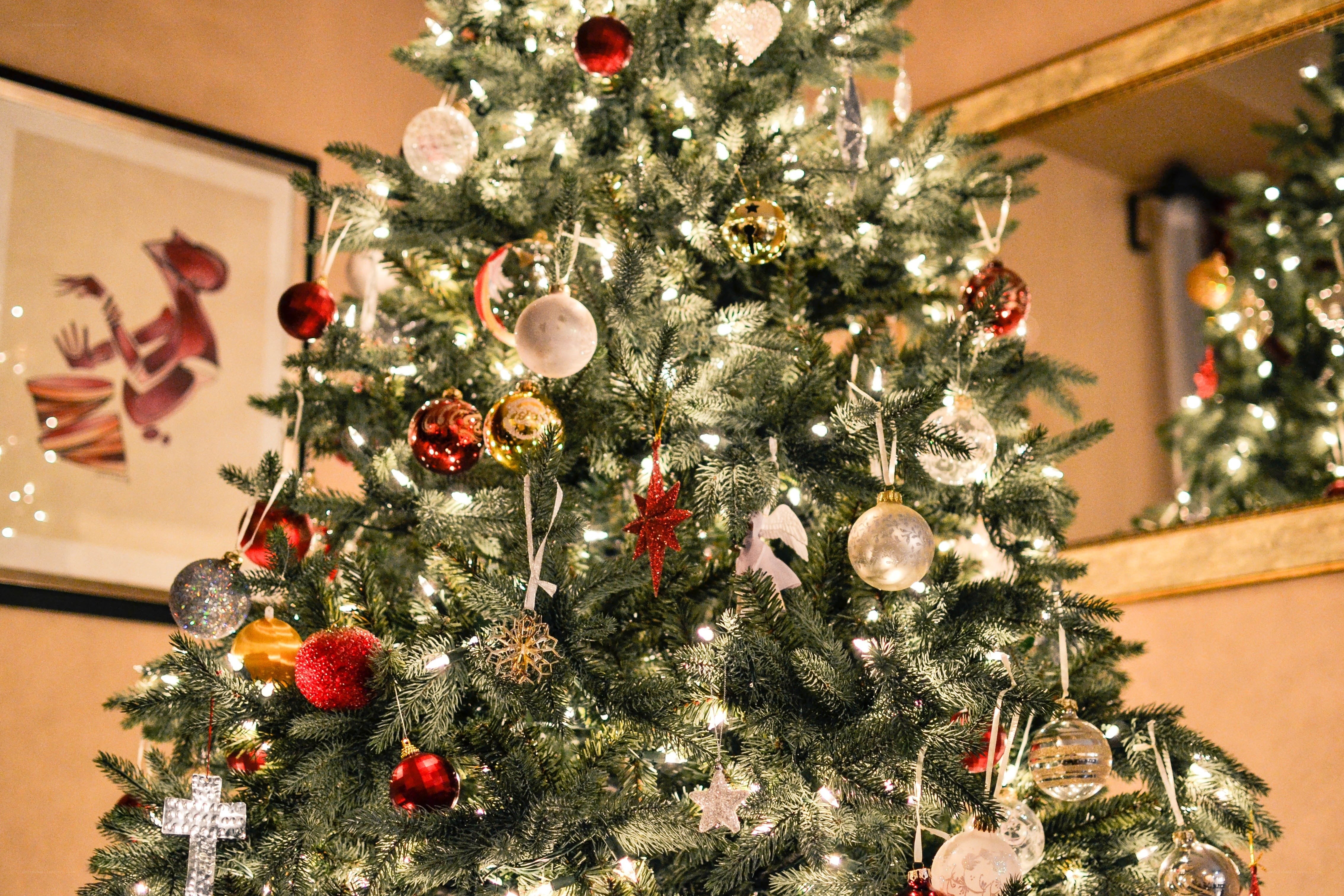 Decorated Christmas tree indoors