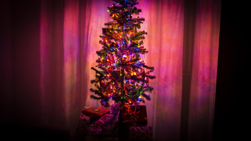 Decorated Christmas Tree — Purple, Festive, Night, Photograph
