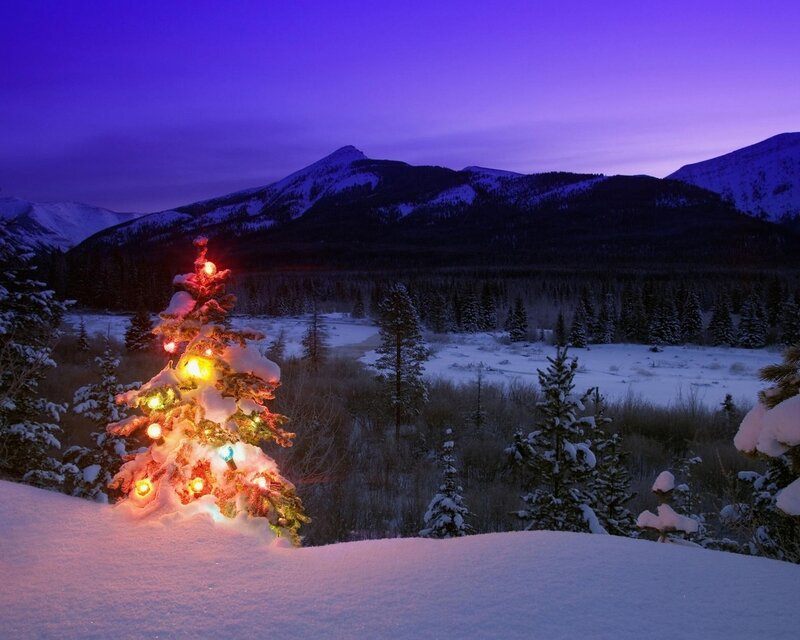 Decorated Christmas Tree — Purple, Serene