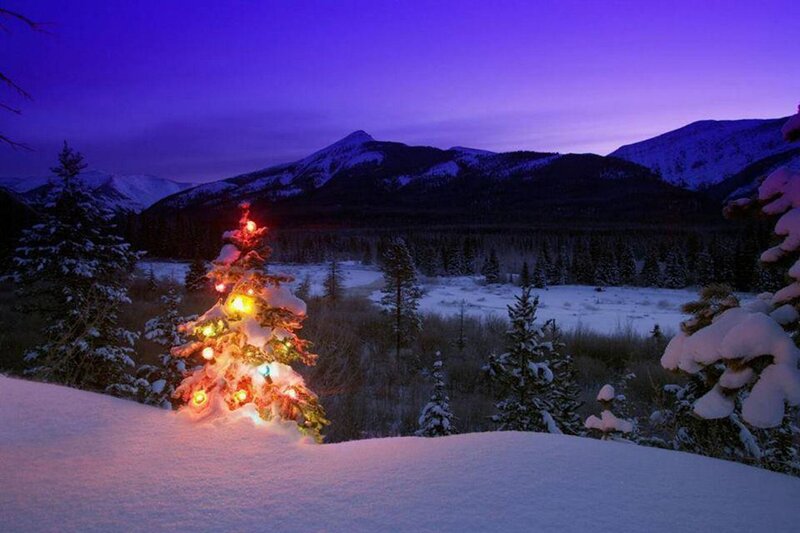 Decorated Christmas Tree — Purple, Serene, Winter