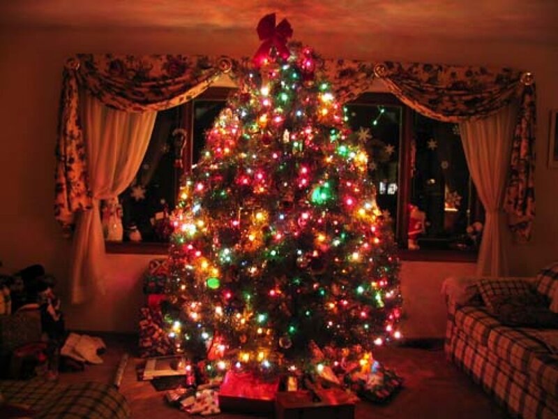 Decorated Christmas Tree — Red, Festive, Night, Photograph, Window