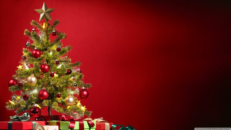Decorated Christmas Tree — Red, Festive, Winter, Photograph, Gifts, Star