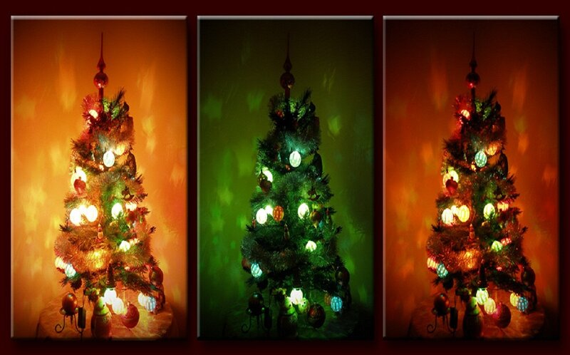 Decorated Christmas Tree — Red, Festive, Winter, Photograph, Ornaments, Lights, Tree Topper