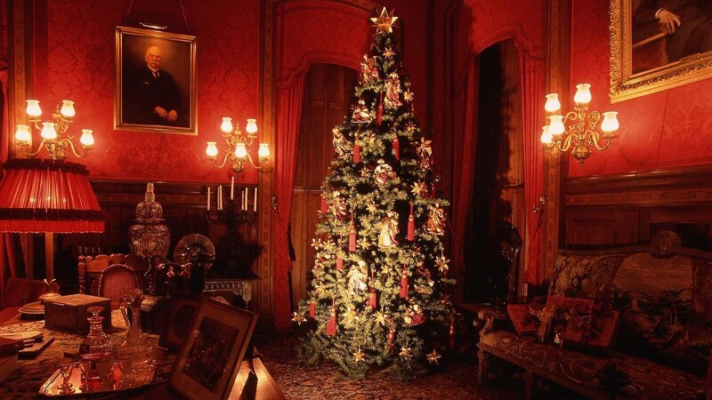 Decorated Christmas Tree — Red, Festive, Winter, Photograph, Portrait