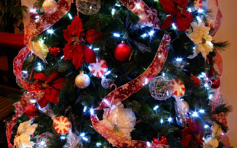 Decorated Christmas Tree — Red, Festive, Winter, Photograph, Ribbons