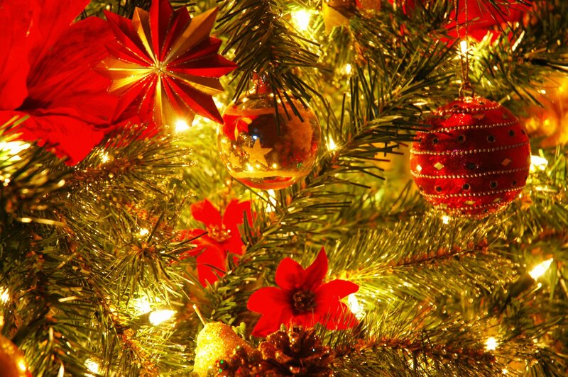 Decorated Christmas Tree — Red, Festive, Winter, Photograph