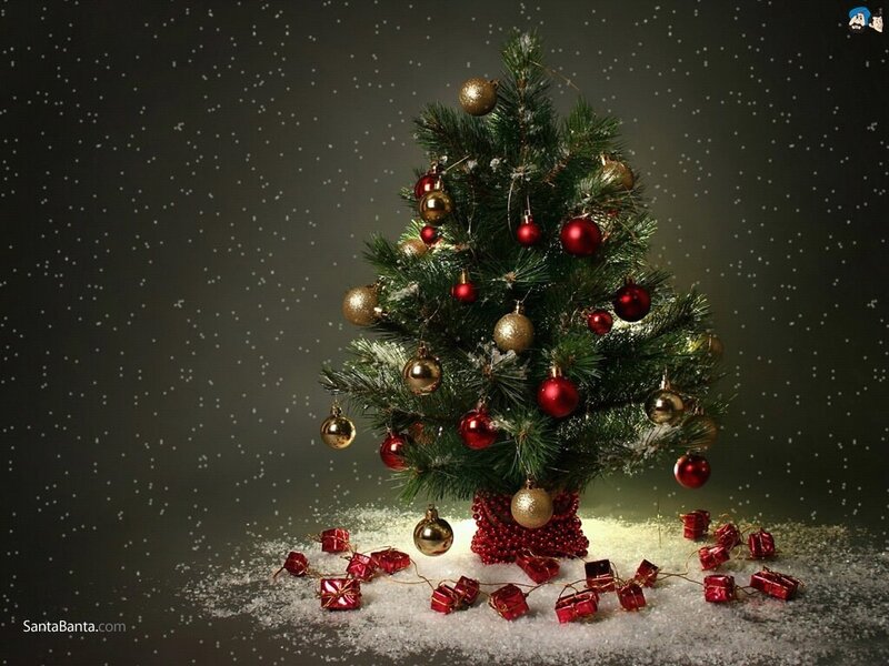 Decorated Christmas Tree — Snow