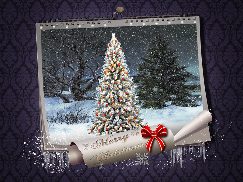 Decorated Christmas Tree — White, Festive, Night