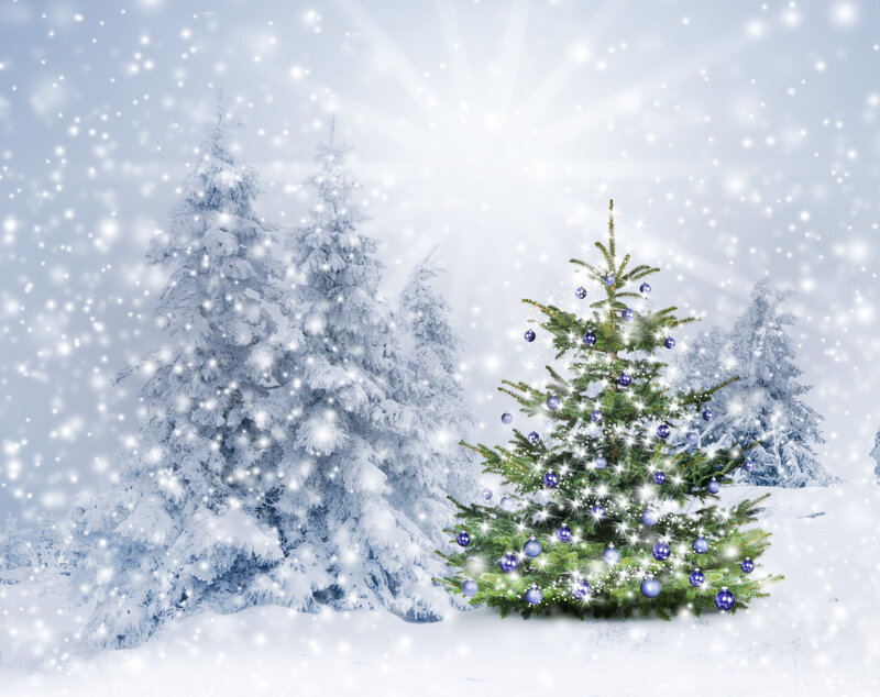 Decorated Christmas Tree — White, Festive, Winter, Photograph, Snow