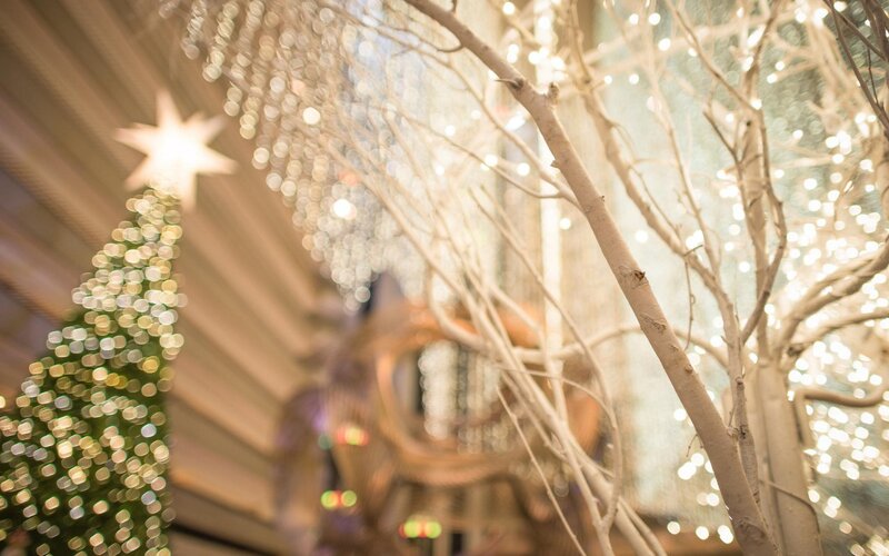 Decorated Christmas Tree — White, Festive, Winter, Photograph, Star