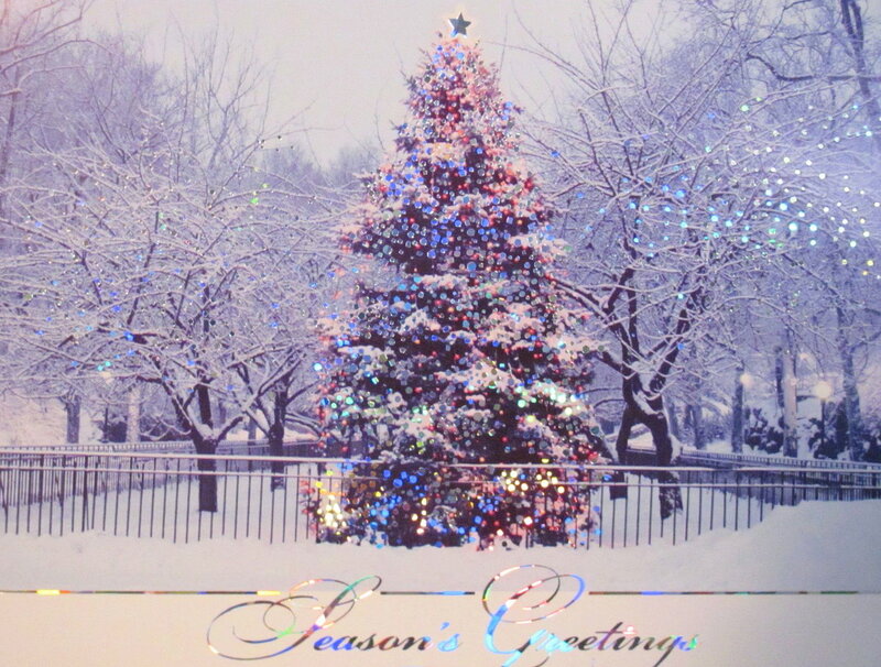 Decorated Christmas Tree — White, Festive, Winter, Photograph