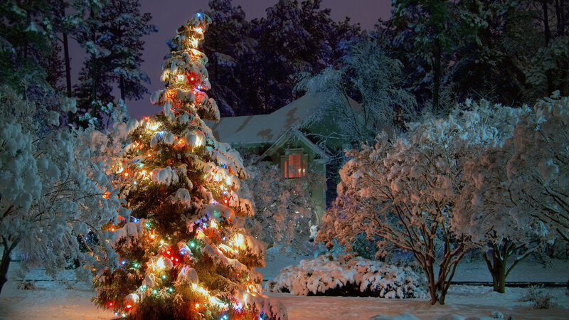 Decorated Christmas Tree — White, Peaceful, Night
