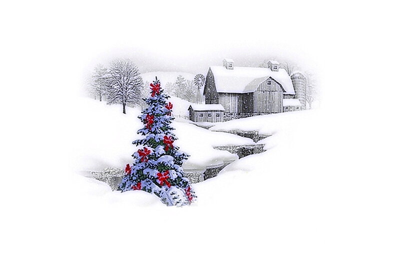 Decorated Christmas Tree — White, Peaceful