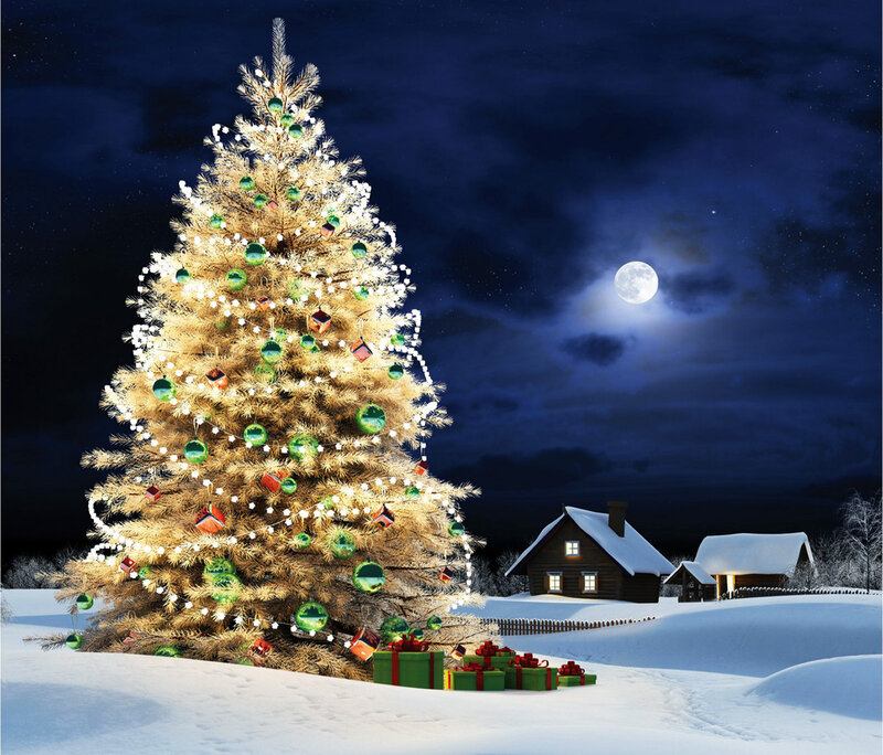 Decorated Christmas Tree — White, Serene, Night, Digital Art, House