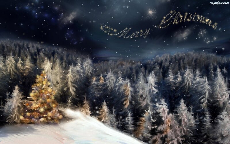 Decorated Christmas Tree — White, Serene, Night, Digital Art, Snowy Forest, Stars