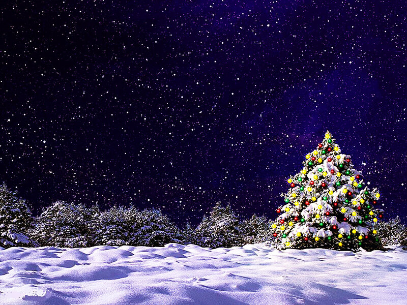 Decorated Christmas Tree — White, Serene, Night, Photograph, Snow