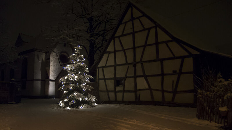 Decorated Christmas Tree — White, Serene, Night, Photograph