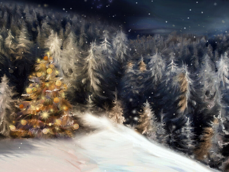 Decorated Christmas Tree — White, Serene, Night