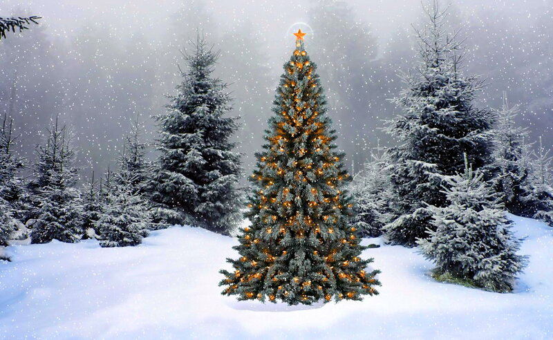 Decorated Christmas Tree — White, Serene, Winter, Digital Art, Snow