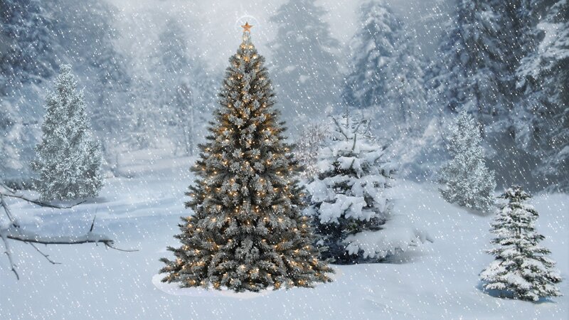 Decorated Christmas Tree — White, Serene, Winter, Digital Art