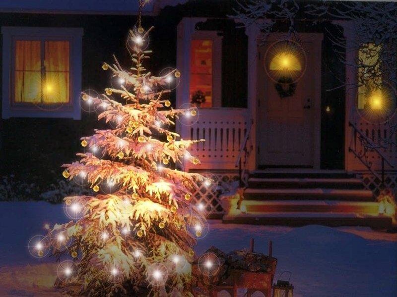 Decorated Christmas Tree — White