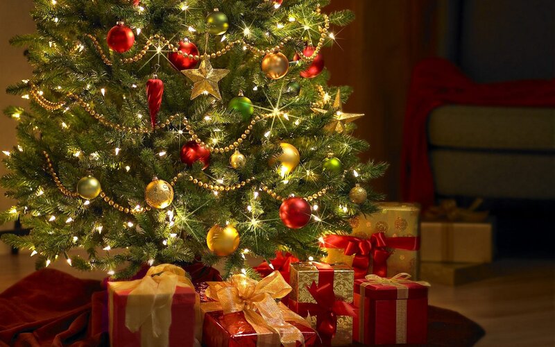 Decorated Christmas Tree — Winter