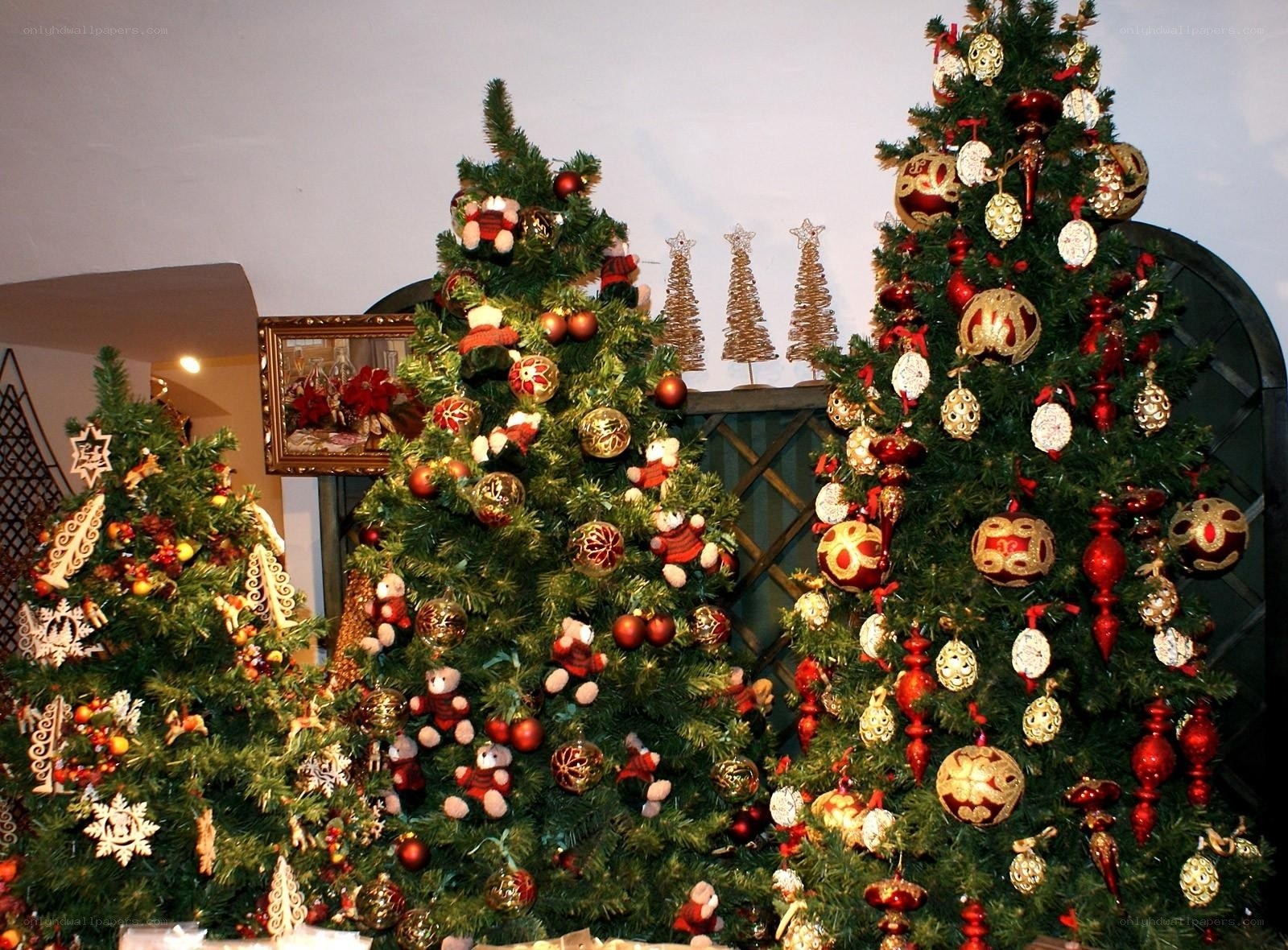 Decorated Christmas trees display