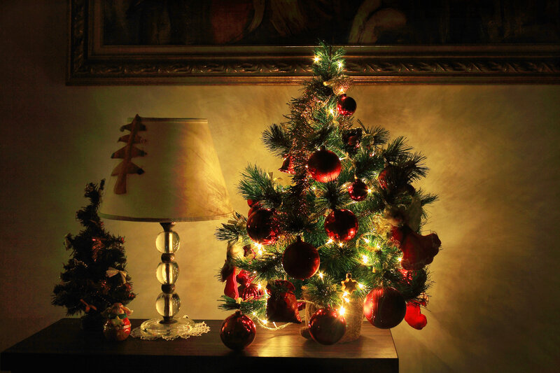 Decorated Christmas Trees — Green, Cozy