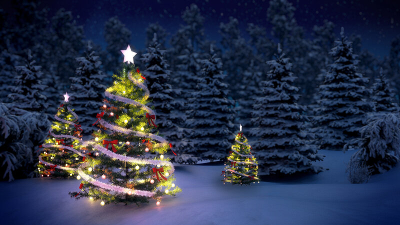Decorated Christmas Trees — Green, Serene