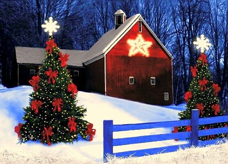 Decorated Christmas Trees — Red, Festive, Winter
