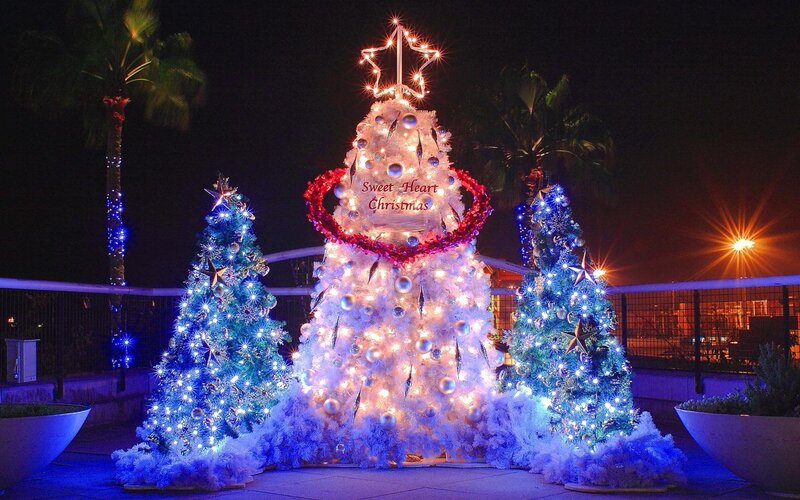 Decorated Christmas Trees — White, Festive