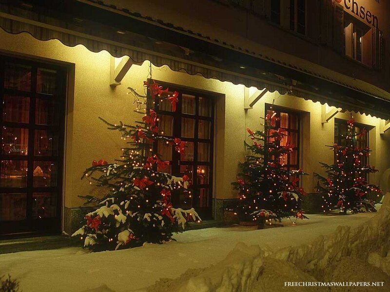 Decorated Christmas Trees — White