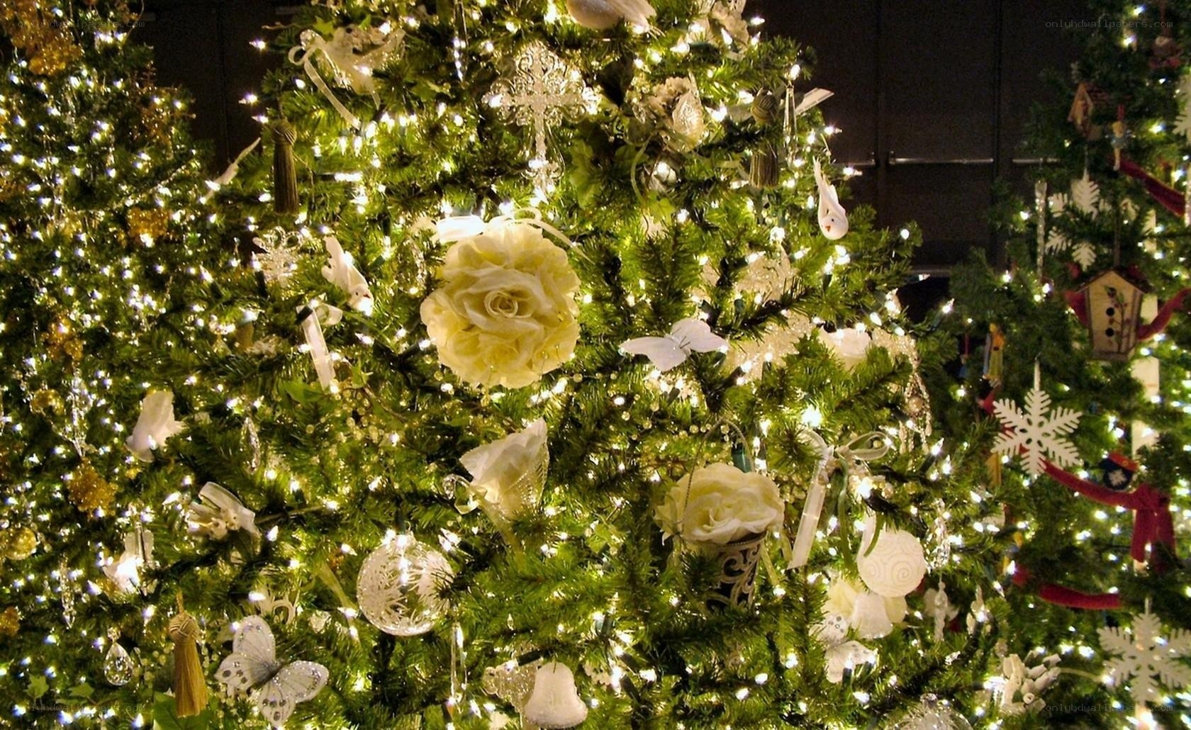 decorated christmas trees