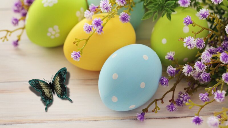 Decorated Easter Eggs — Blue, Festive, Spring, Photograph, Butterfly