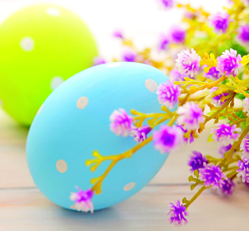 Decorated Easter Eggs — Blue, Festive, Spring, Photograph, Flowers