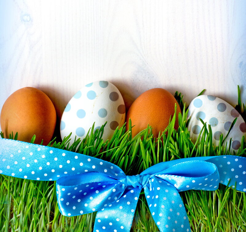 Decorated Easter Eggs — Blue, Festive, Spring, Photograph, Grass