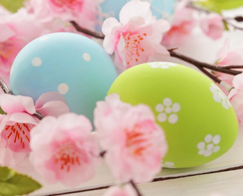 Decorated Easter Eggs — Blue, Festive, Spring, Photograph, Pink Flowers