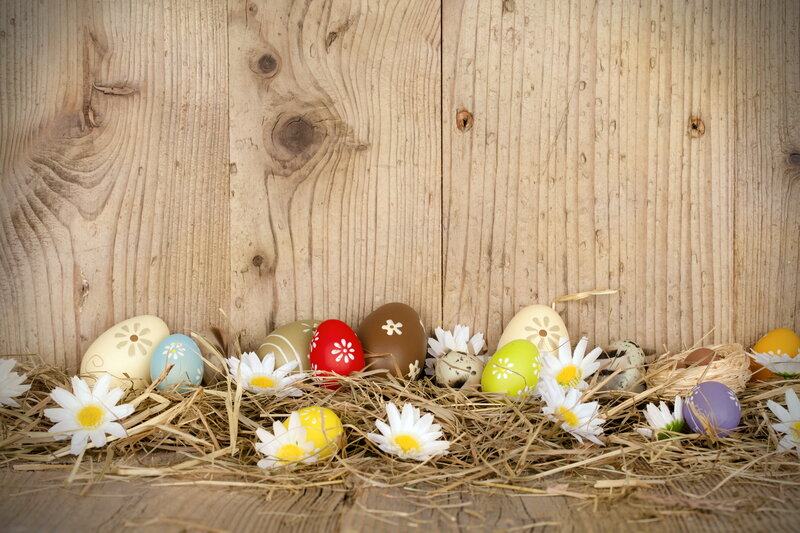 Decorated Easter Eggs — Brown, Festive, Spring, Photograph, Daisies
