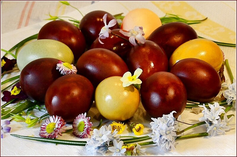 Decorated Easter Eggs — Brown, Festive, Spring