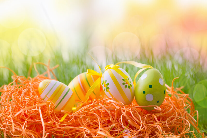 Decorated Easter Eggs — Green, Bright, Spring, Photograph