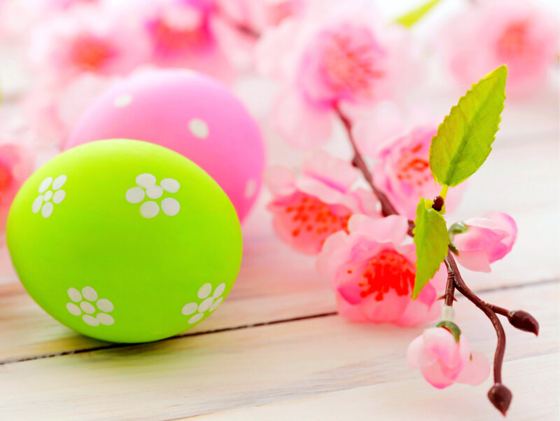Decorated Easter Eggs — Green, Festive, Spring, Photograph, Cherry Blossoms