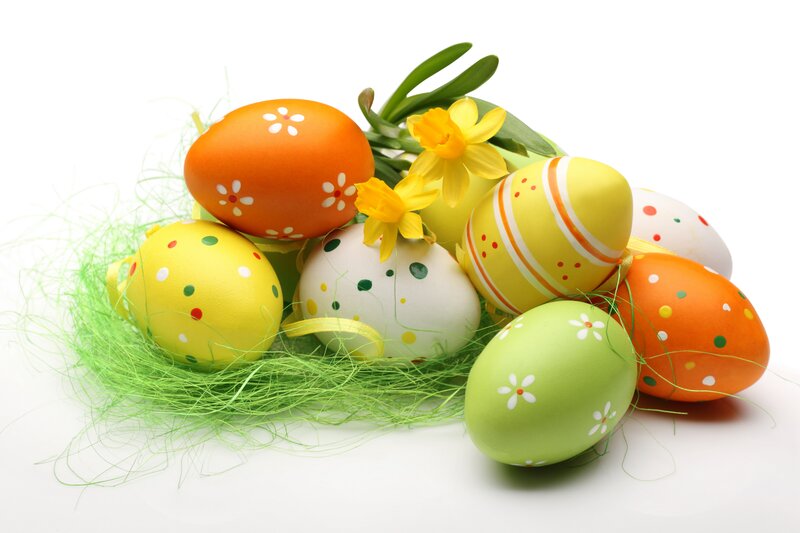 Decorated Easter Eggs — Green, Festive, Spring, Photograph, Daffodils, Grass