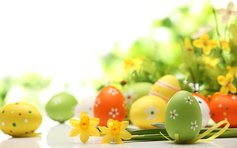 Decorated Easter Eggs — Green, Festive, Spring, Photograph, Daffodils